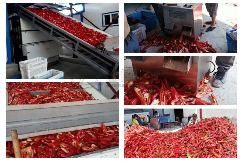 新疆伊寧用戶(hù)烘干新疆大板椒現(xiàn)場(chǎng)